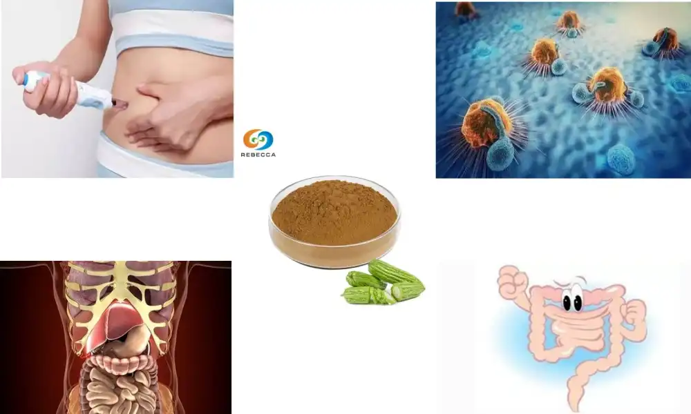 Exploring the Health Benefits of Bitter Melon Powder